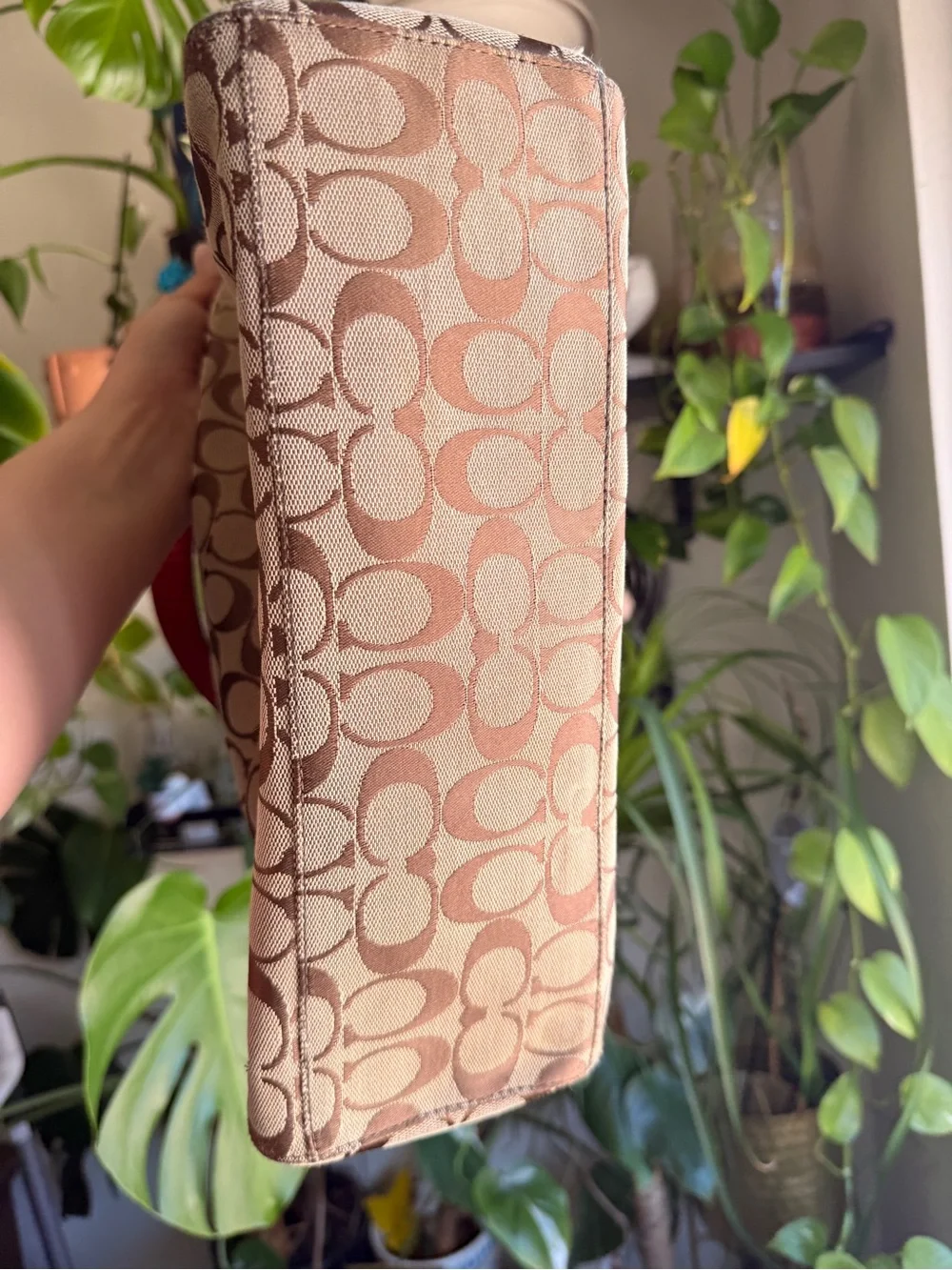 Coach hobo bag